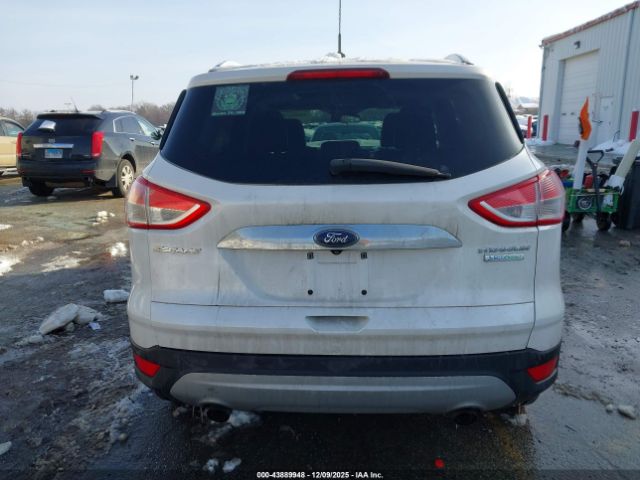 Ford Escape Titanium Image 16