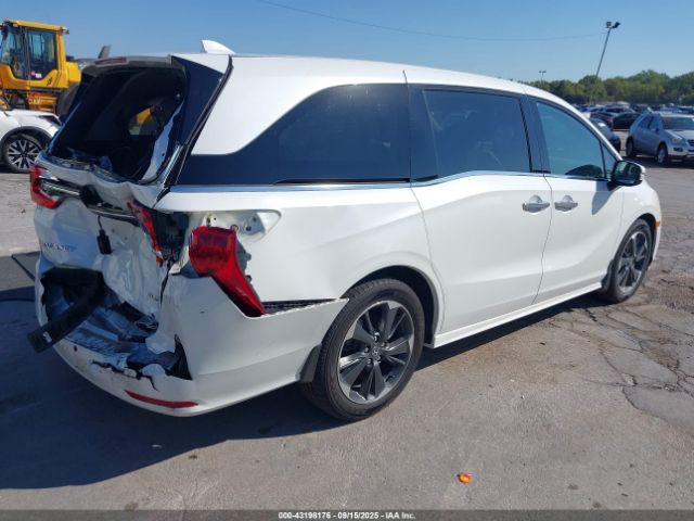 Honda Odyssey Elite Image 6