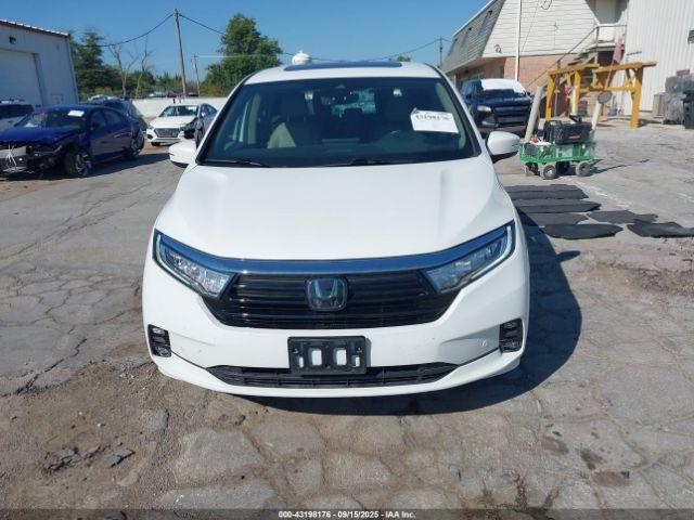 Honda Odyssey Elite Image 12