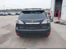 Lexus RX Image 2
